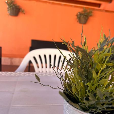 Casa Vacanze Filippa Balestrate Dış mekan fotoğraf